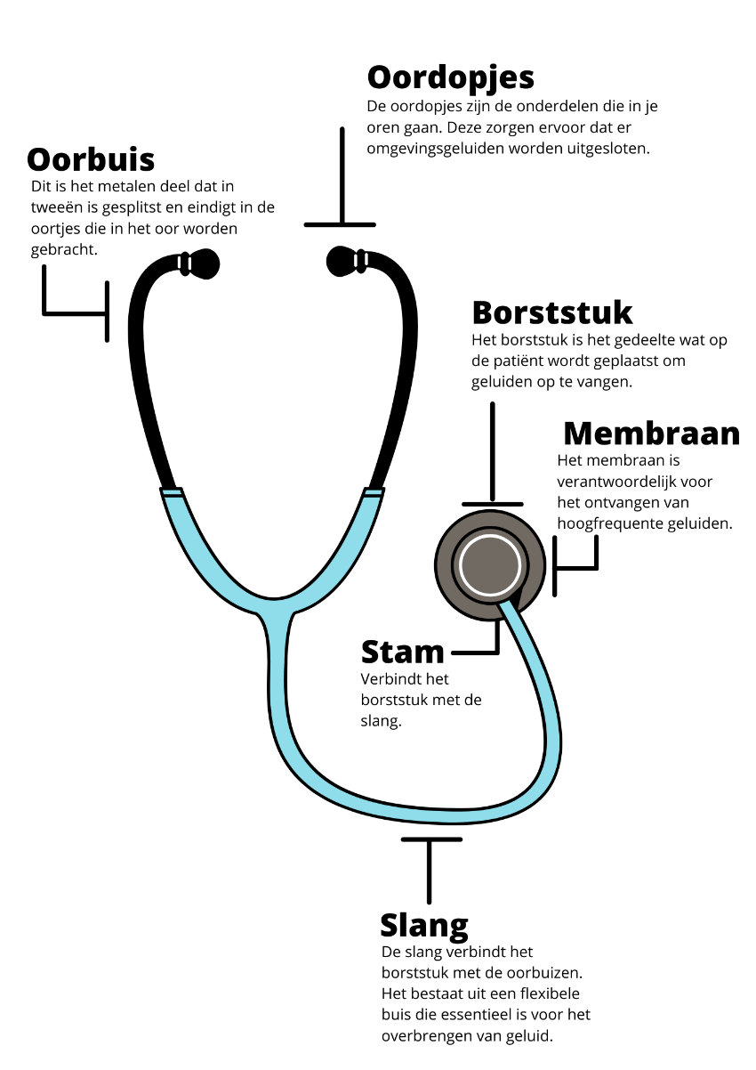 onderdelen stethoscoop